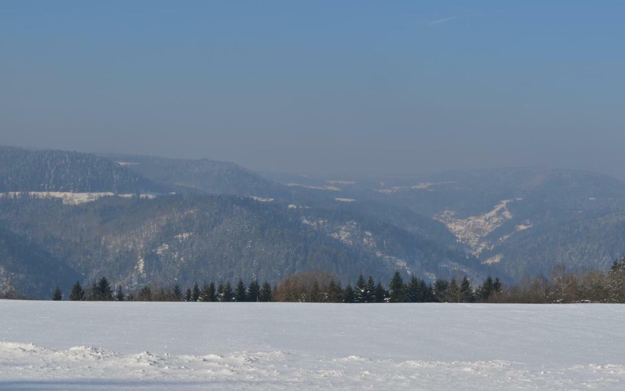 Pensjonat Sonnenhof Schramberg Zewnętrze zdjęcie